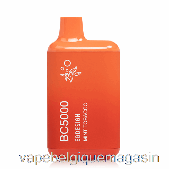 Vape Jetable Bc5000 Tabac Menthe Jetable